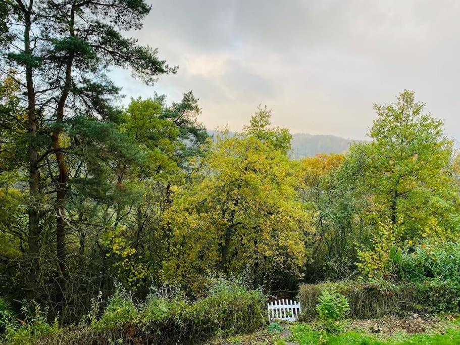 Apartment Schoene Mit Waldblick In Dillenburg